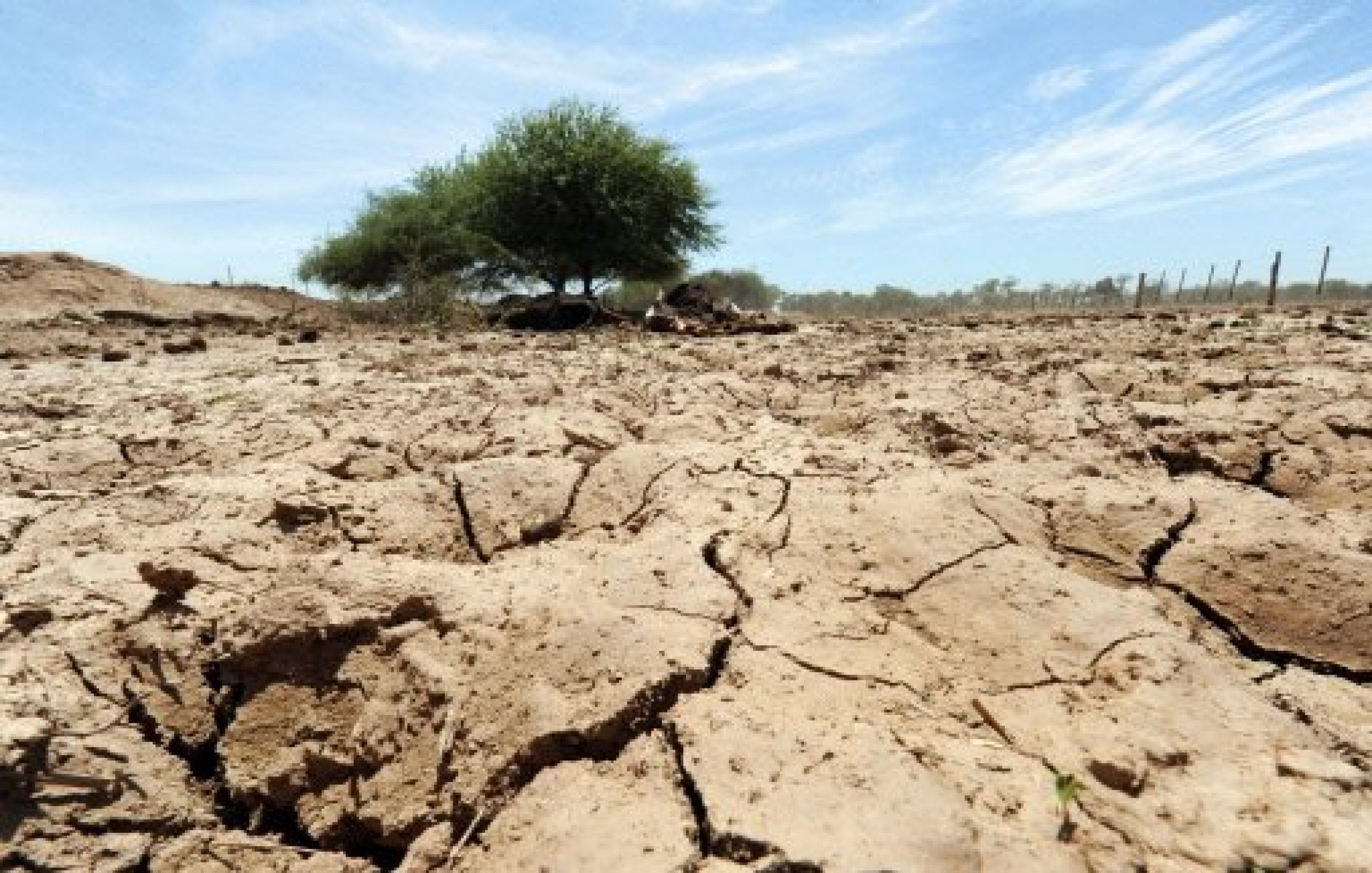 Drought Decimates Crops In Latin America, Pushing Up Prices Of Corn And ...