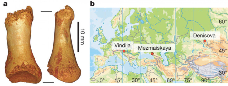 Neanderthals-bone