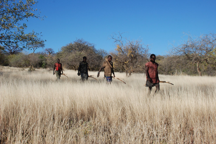 Hadza-tribe-hunting