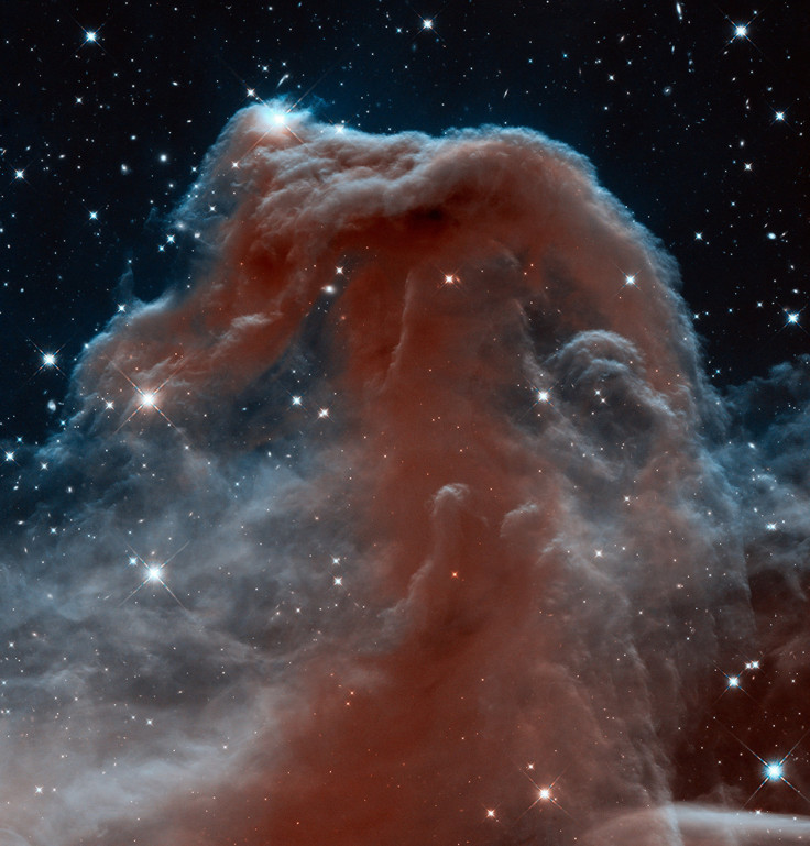 horsehead