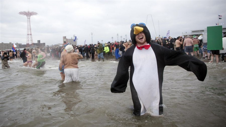 polarplunge