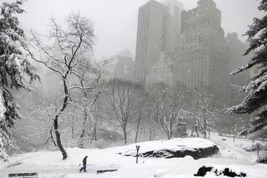 New York Snow 