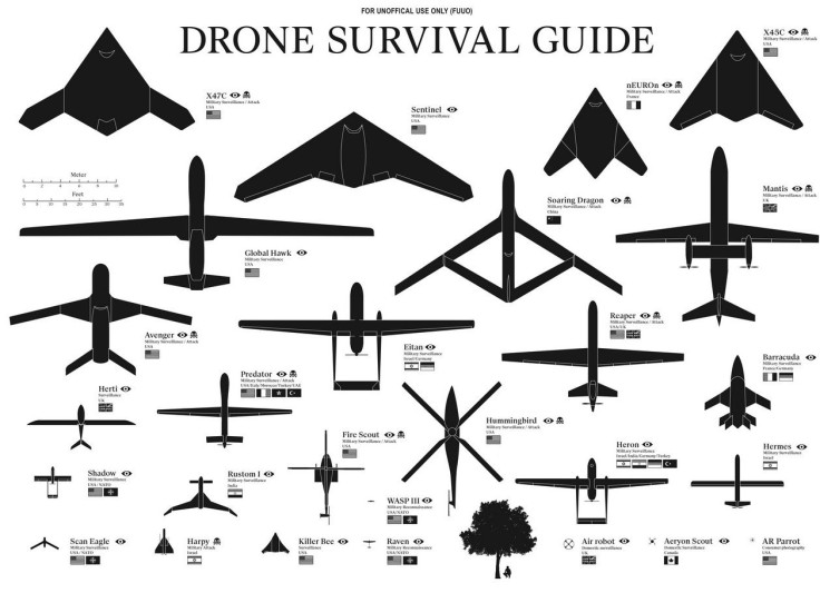 Drone Survival Guide 
