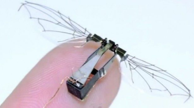 Nano Drones