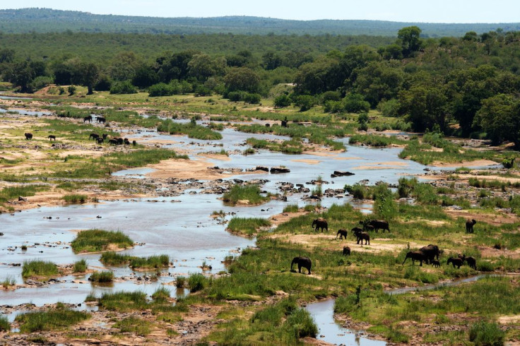 kruger national park