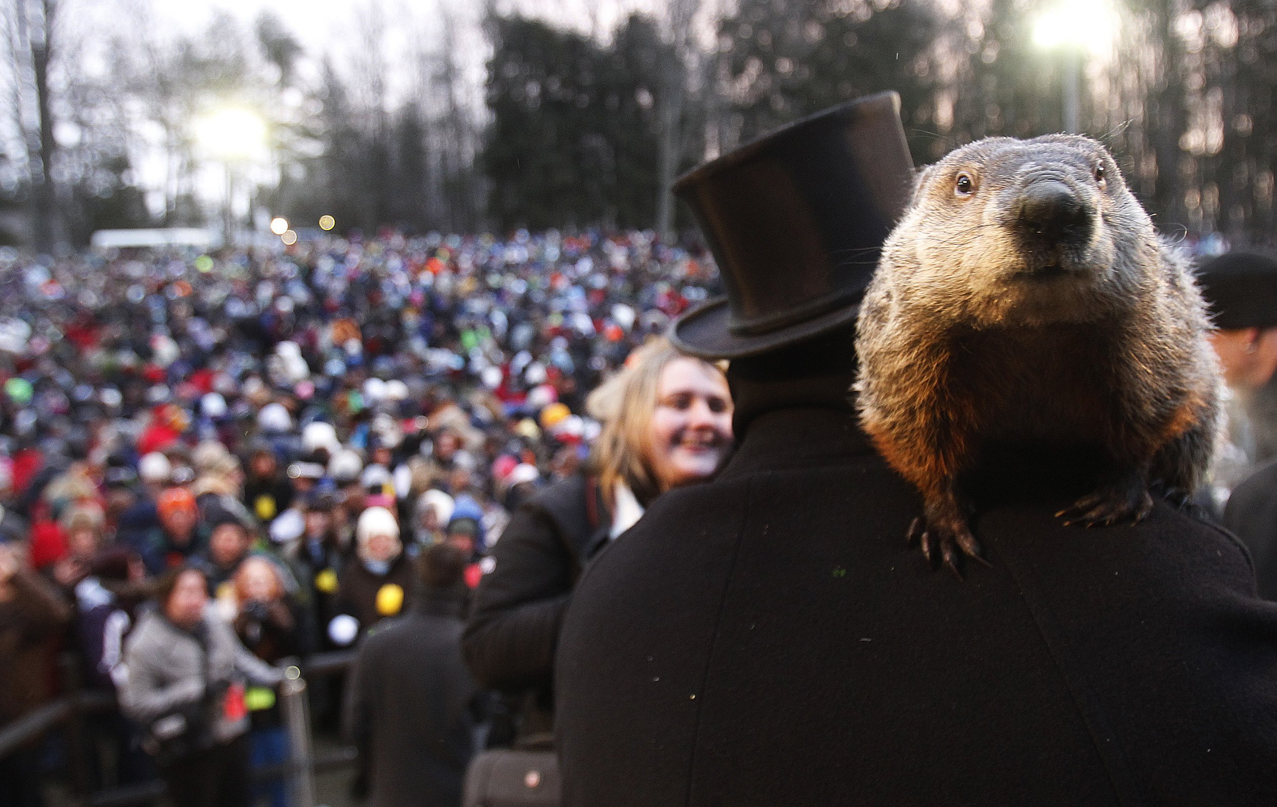 Why Do We Celebrate Groundhog Day? IBTimes