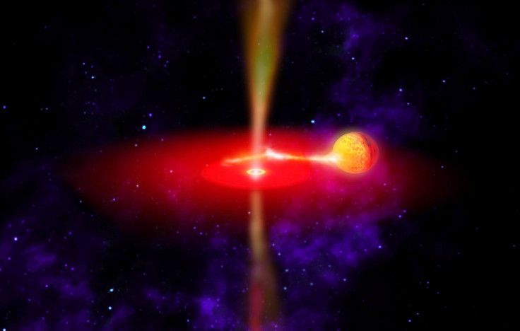 Black-Hole-universe