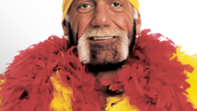 Hulk Hogan WWE