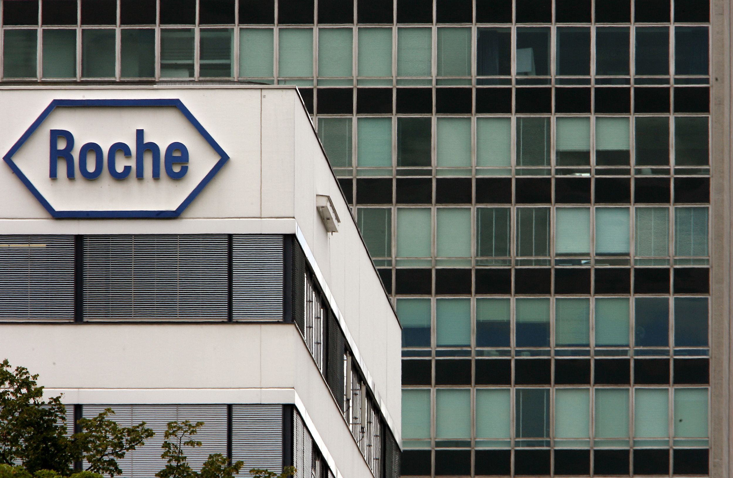 Roche holding