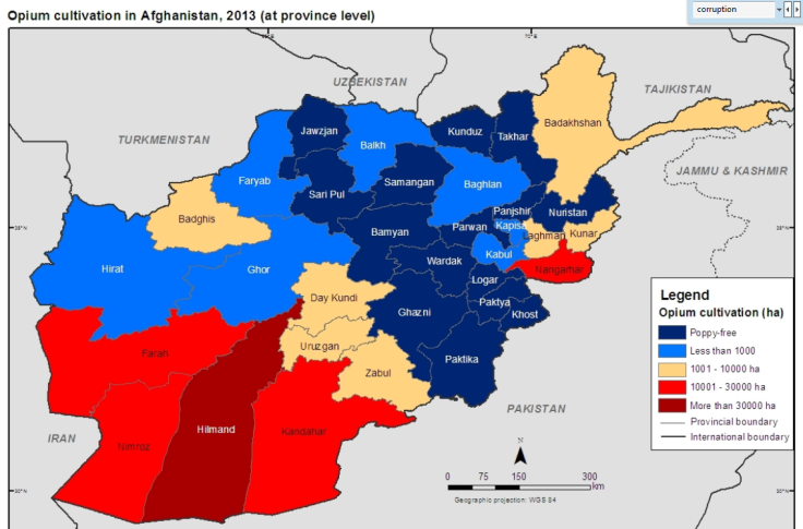 Opium cultivation