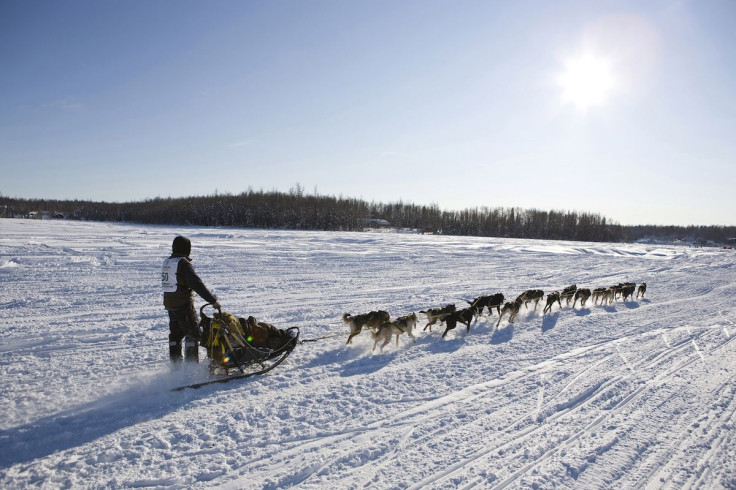 The Alaskan Wilderness 