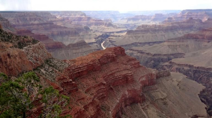 The Grand Canyon 