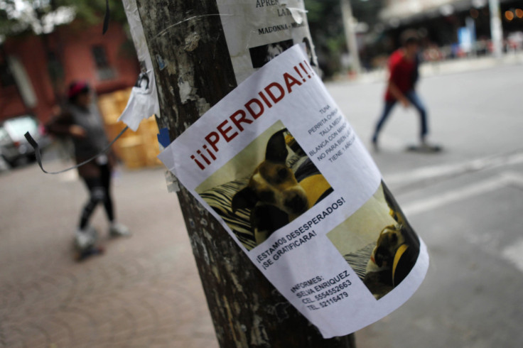 Dog kidnappings, Mexico City