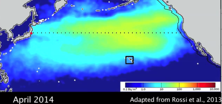 Fukushima Radiation Plume