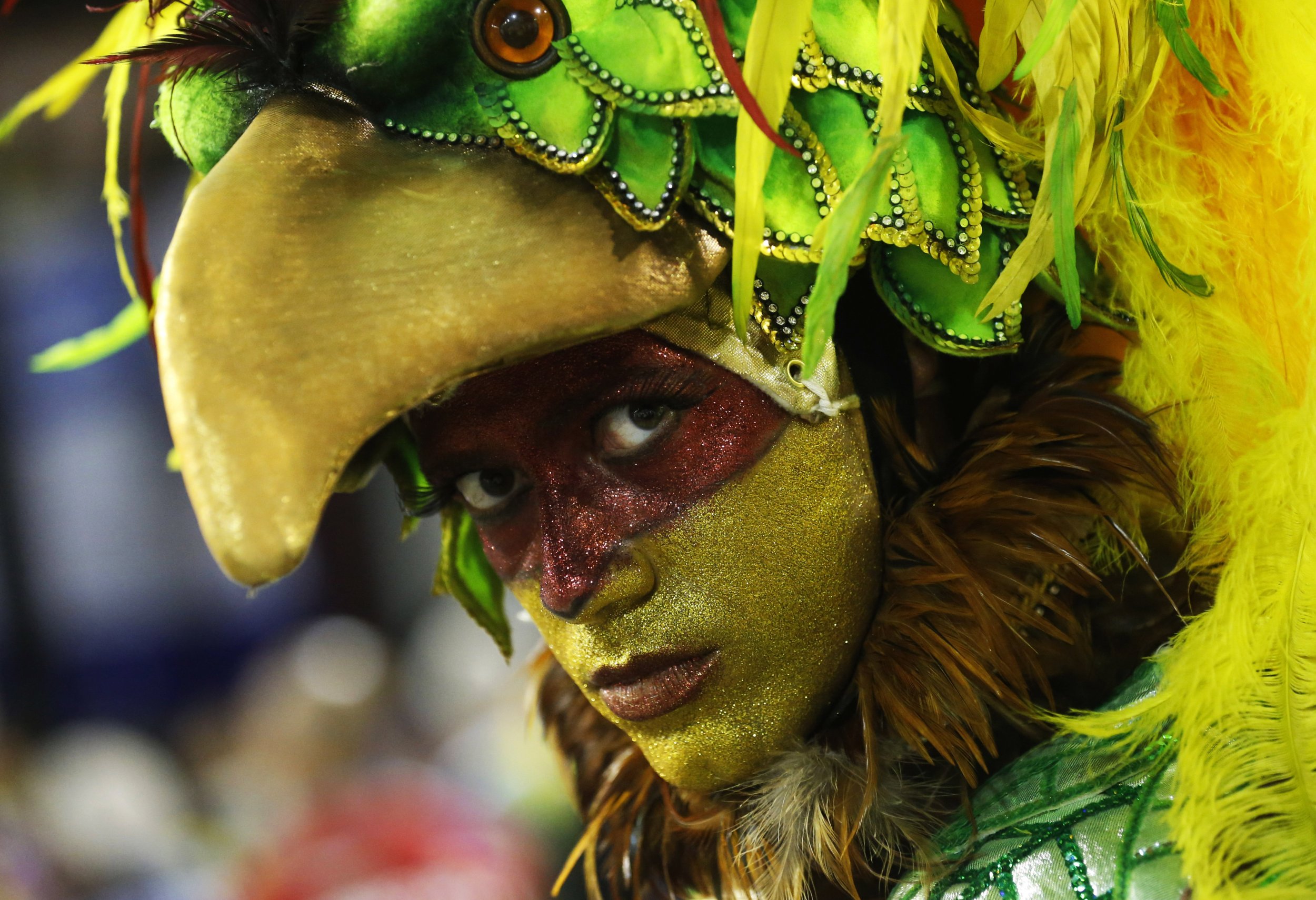 Carnival 2014 Green Costume 
