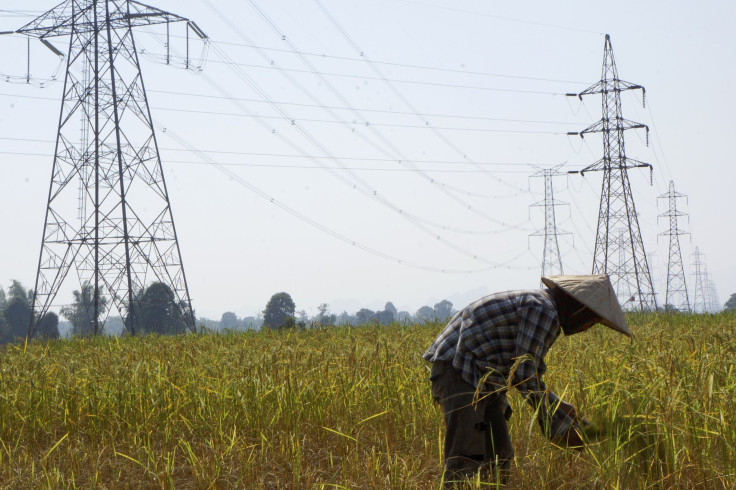 A farmer works in a paddy field under the power lines near Nam Theun 2 dam in Khammouane province.
