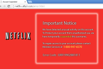 Netflix Tech Support Phishing Scam