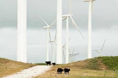 Wind Farm Lake Benton Minn by Shutterstock 2