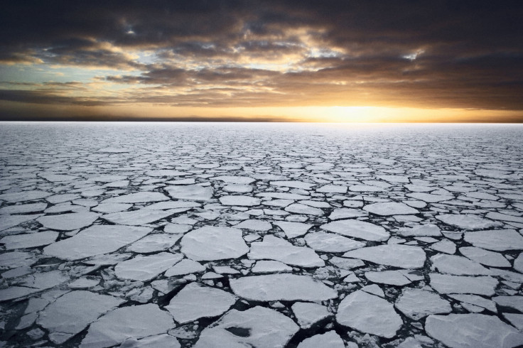 Jigsaw-like pieces of the Ross Sea drift around under the gaze of the sun