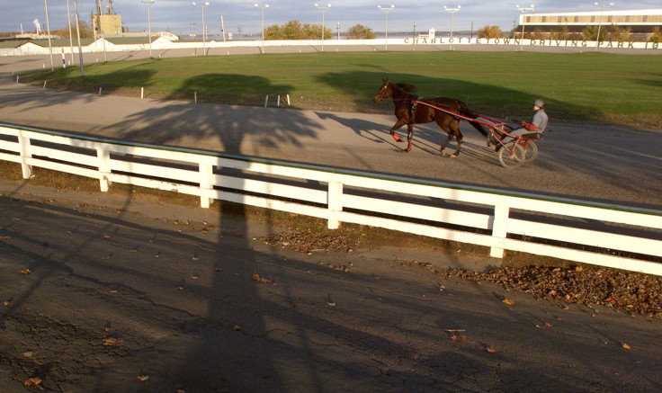 Harness Race