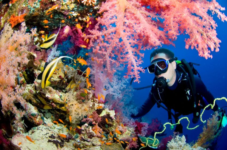 Andaman Diving