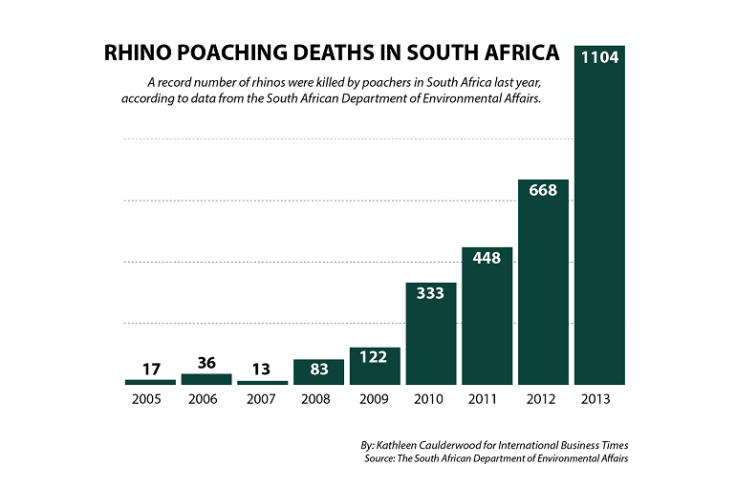 SA Rhino Deaths