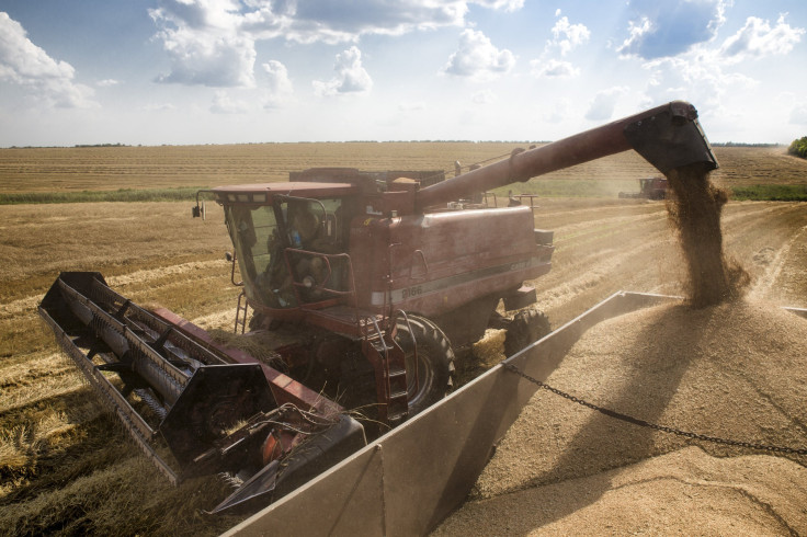 Ukraine Wheat July 2013