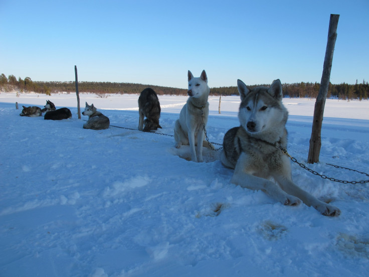 Lapland