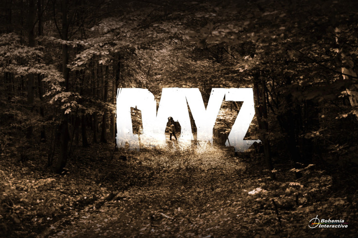 dayz-100041645-orig