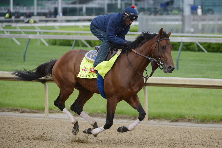 2014 Kentucky Derby Candy Boy