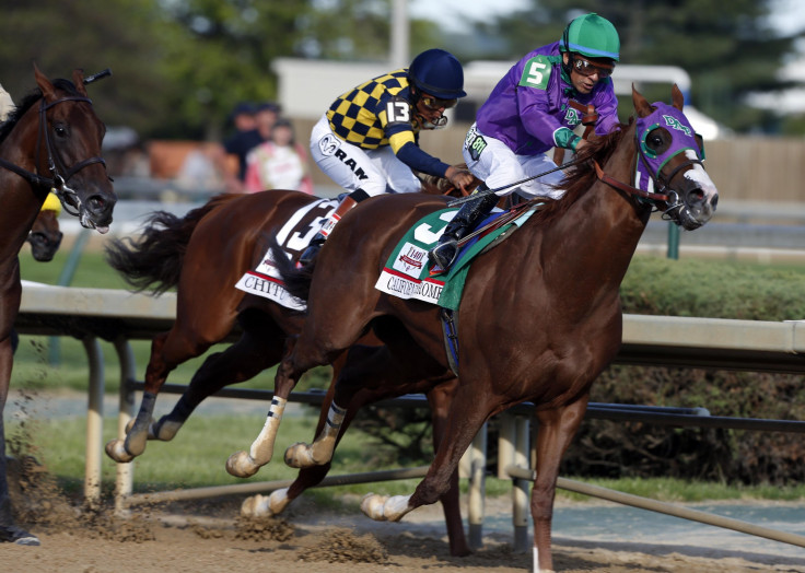 California Chrome 2014 Kentucky Derby