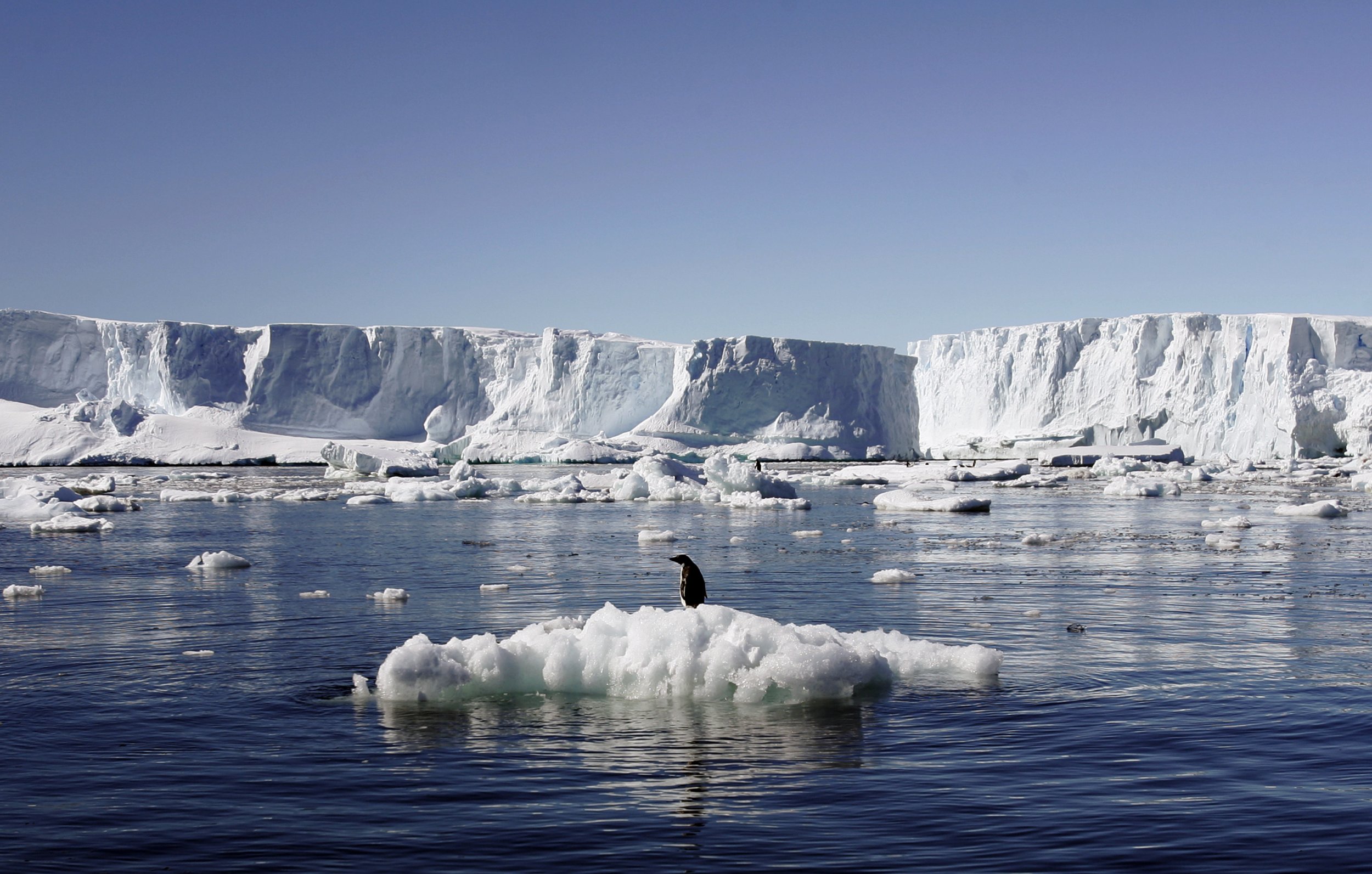 East Antarctica Ice's Stability Is ‘Overestimated’; Melting From ...