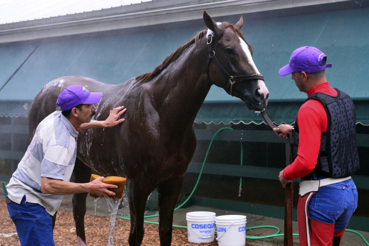 California Chrome 2014