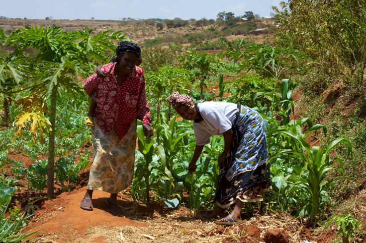 Women_smallholder_farmers_in_Kenya