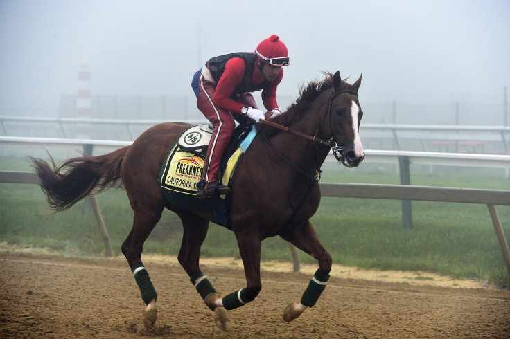 California Chrome 2014 Preakness