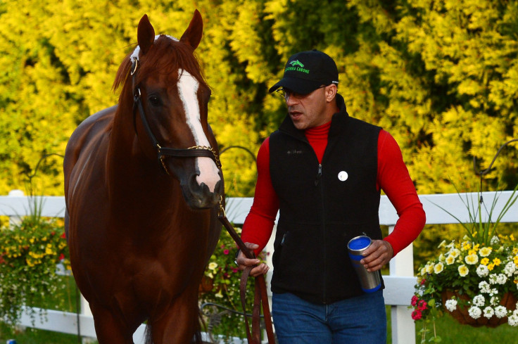 California Chrome_Preakness Winner