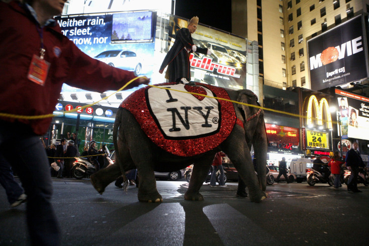 RinglingBros_Elephants In NY