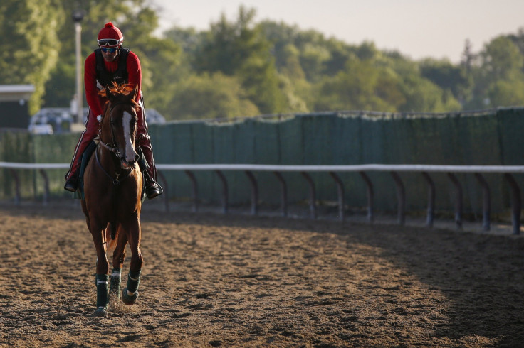 Belmont 2014 California Chrome Workout