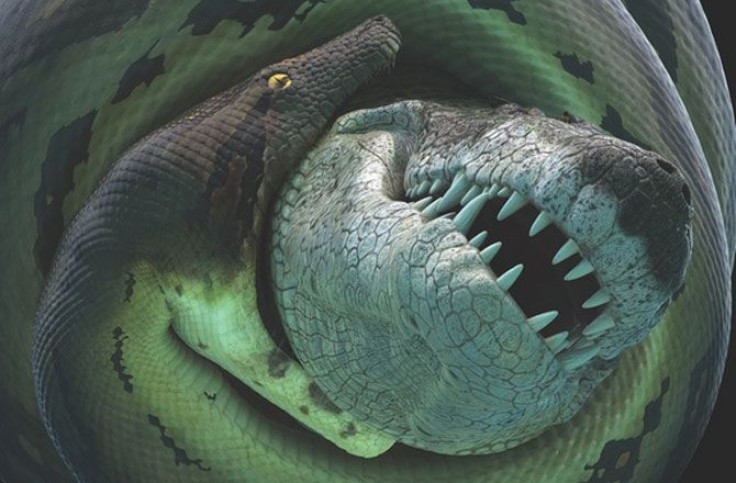 snake-croc