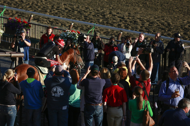 California Chrome 2014 Belmont