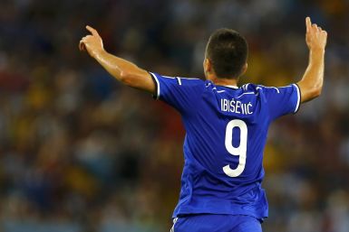 Vedad Ibisevic Bosnia World Cup 2014