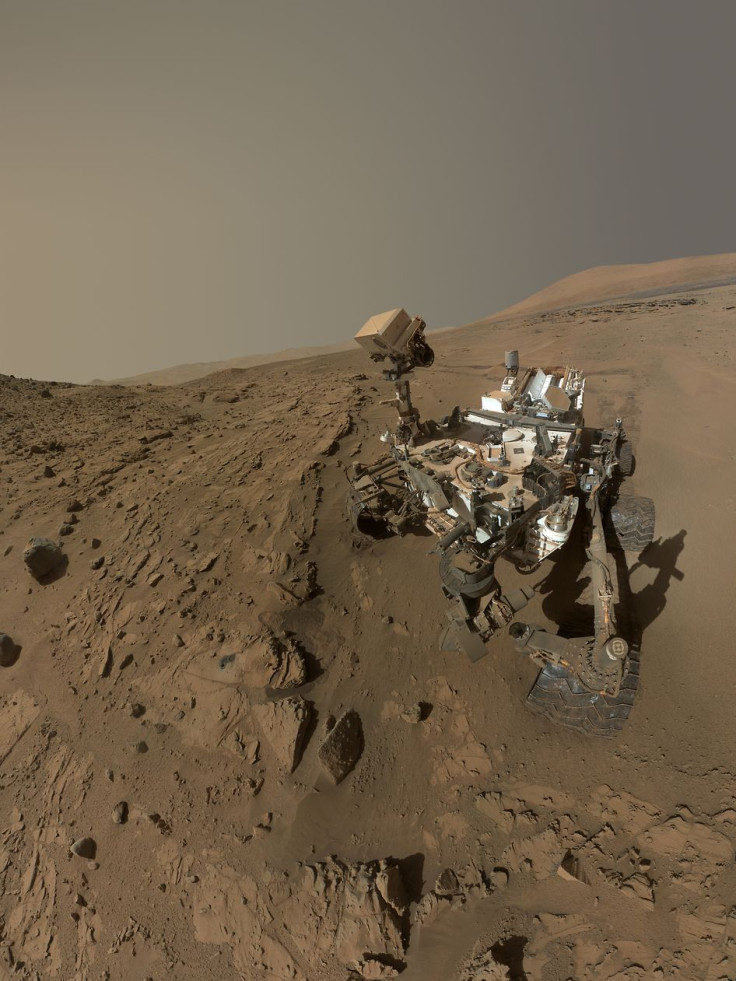 Curiosity Selfie