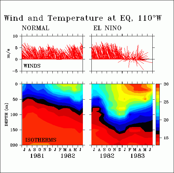 El Nino Wind & Temperature (1982-83)