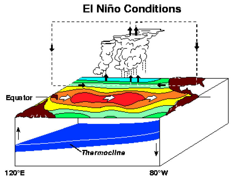 El Nino Conditions