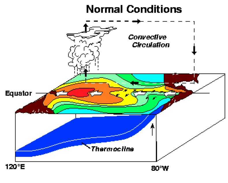 El Nino Normal Conditions