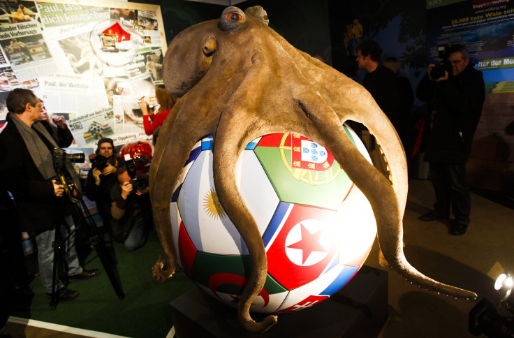 Paul the Octopus