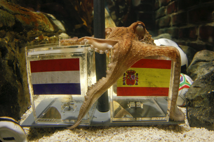 Paul the Octopus