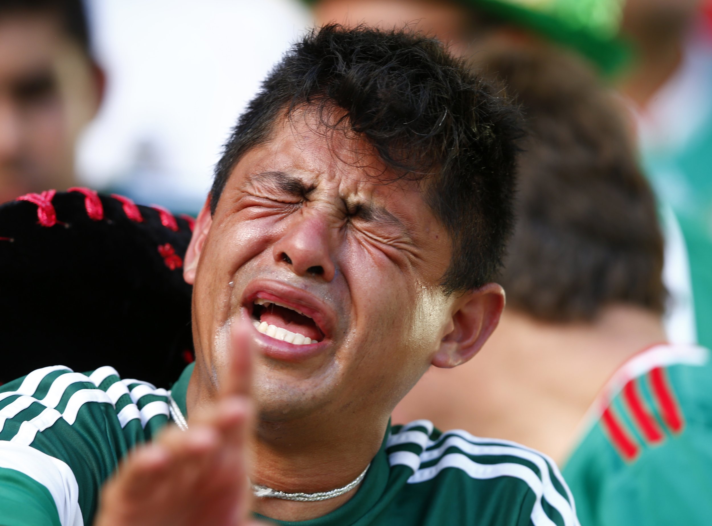 Mexico Fan