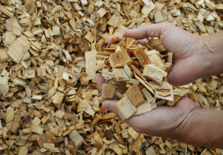 wood pulp