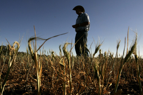 Australian Farmers Suffer From Drought
